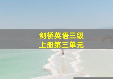 剑桥英语三级上册第三单元