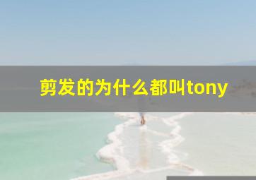 剪发的为什么都叫tony