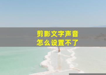 剪影文字声音怎么设置不了