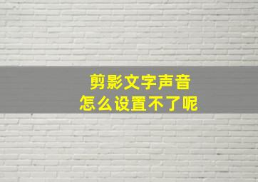 剪影文字声音怎么设置不了呢