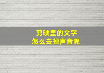 剪映里的文字怎么去掉声音呢