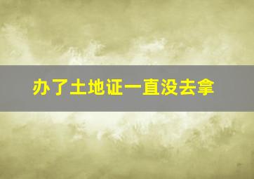 办了土地证一直没去拿