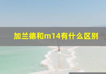 加兰德和m14有什么区别