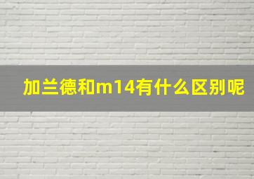 加兰德和m14有什么区别呢