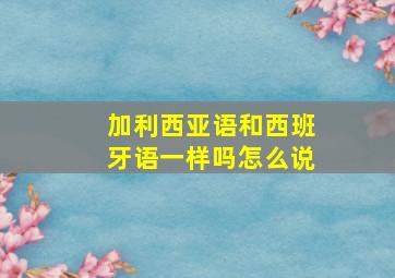 加利西亚语和西班牙语一样吗怎么说