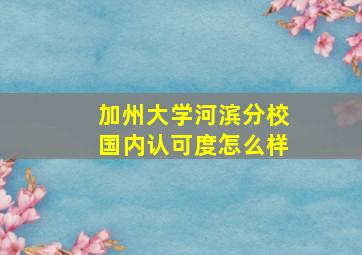 加州大学河滨分校国内认可度怎么样