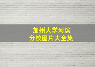 加州大学河滨分校图片大全集