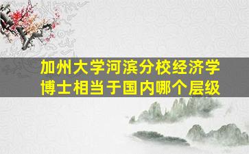 加州大学河滨分校经济学博士相当于国内哪个层级