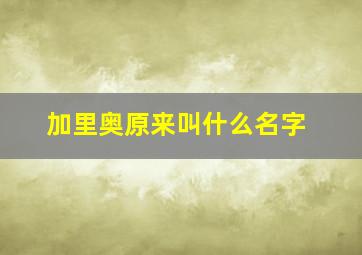 加里奥原来叫什么名字