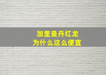 加里曼丹红龙为什么这么便宜