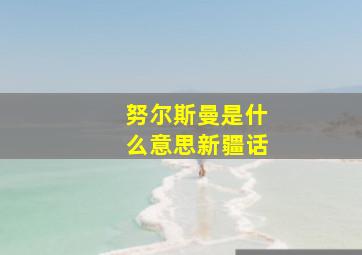 努尔斯曼是什么意思新疆话