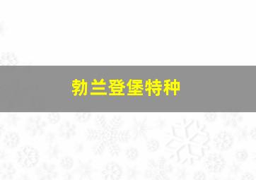 勃兰登堡特种