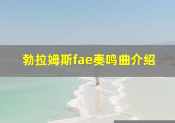 勃拉姆斯fae奏鸣曲介绍