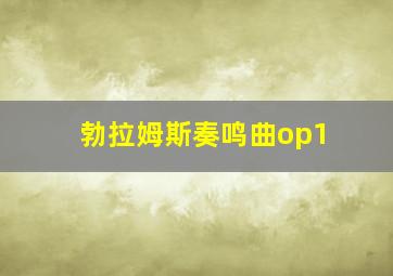 勃拉姆斯奏鸣曲op1