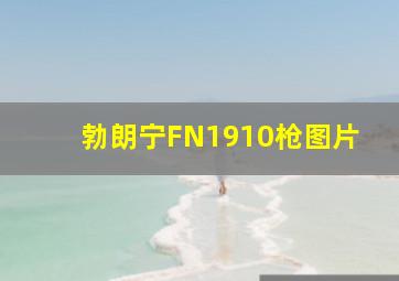 勃朗宁FN1910枪图片