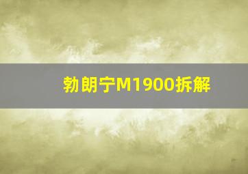 勃朗宁M1900拆解