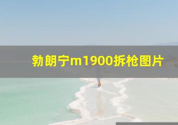 勃朗宁m1900拆枪图片