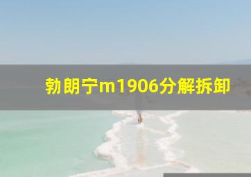 勃朗宁m1906分解拆卸