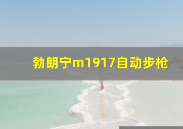 勃朗宁m1917自动步枪