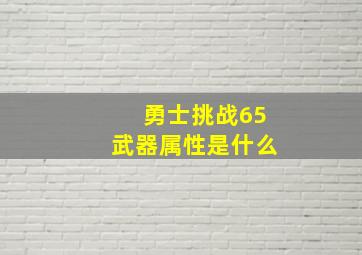 勇士挑战65武器属性是什么