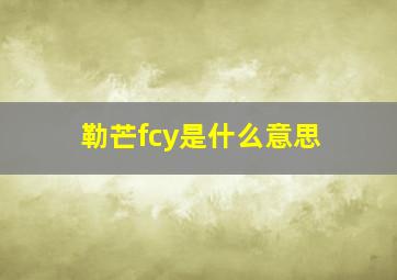 勒芒fcy是什么意思