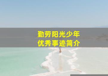 勤劳阳光少年优秀事迹简介