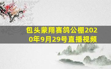 包头蒙翔赛鸽公棚2020年9月29号直播视频