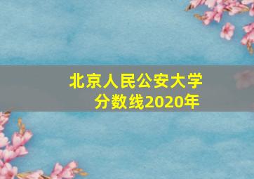 北京人民公安大学分数线2020年