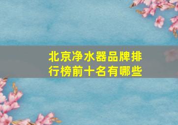 北京净水器品牌排行榜前十名有哪些