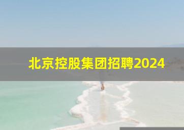 北京控股集团招聘2024