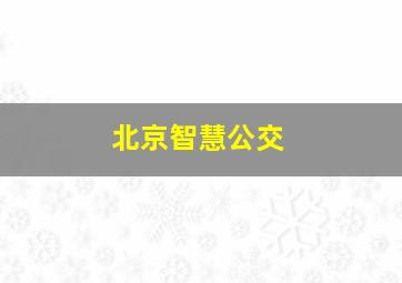 北京智慧公交