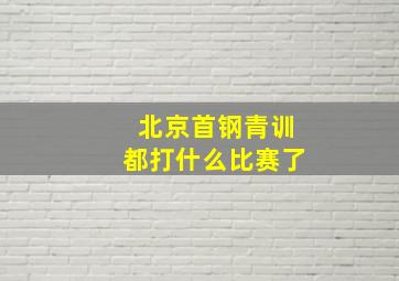 北京首钢青训都打什么比赛了