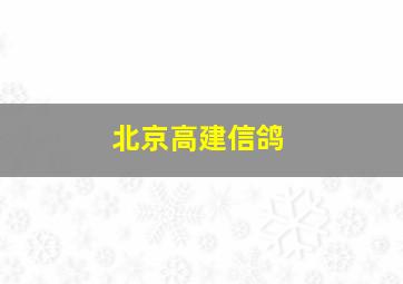 北京高建信鸽