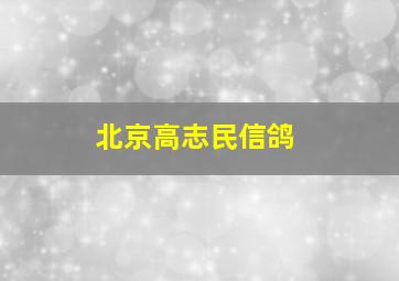 北京高志民信鸽