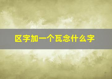 区字加一个瓦念什么字