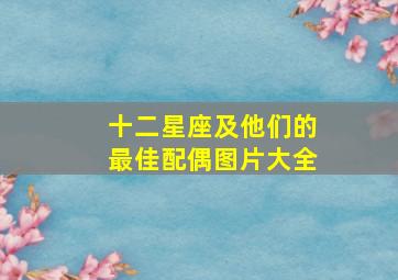 十二星座及他们的最佳配偶图片大全