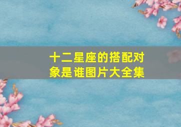 十二星座的搭配对象是谁图片大全集