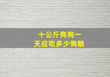 十公斤狗狗一天应吃多少狗粮