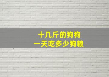 十几斤的狗狗一天吃多少狗粮