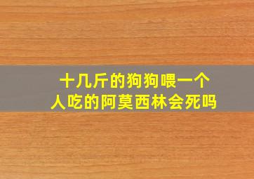 十几斤的狗狗喂一个人吃的阿莫西林会死吗