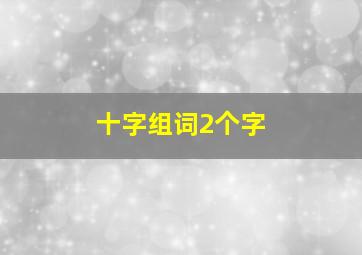 十字组词2个字