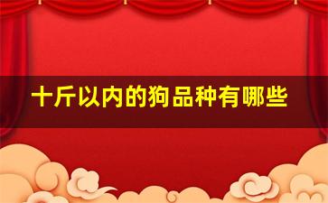 十斤以内的狗品种有哪些