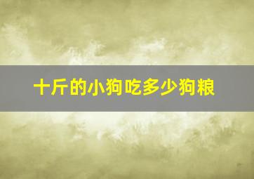 十斤的小狗吃多少狗粮