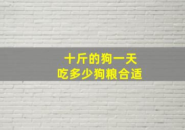 十斤的狗一天吃多少狗粮合适