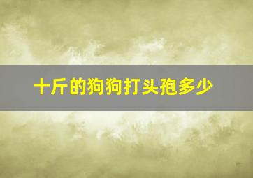 十斤的狗狗打头孢多少