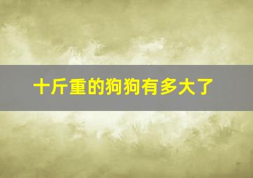 十斤重的狗狗有多大了