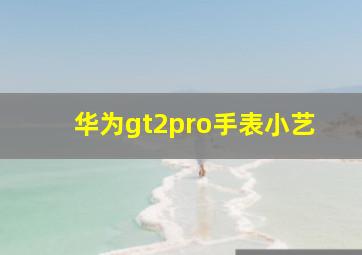 华为gt2pro手表小艺