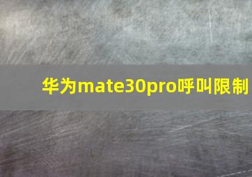 华为mate30pro呼叫限制