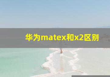 华为matex和x2区别