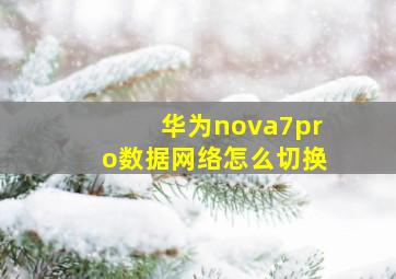 华为nova7pro数据网络怎么切换